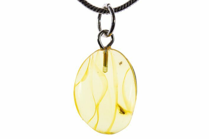 Polished Baltic Amber Pendant (Necklace) - Contains Fly! #339583